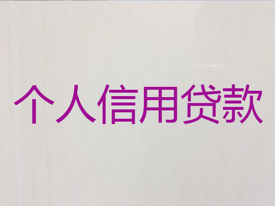 南平信用贷款-正规贷款公司